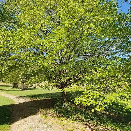 Gæstehus Domaine Du Cardou