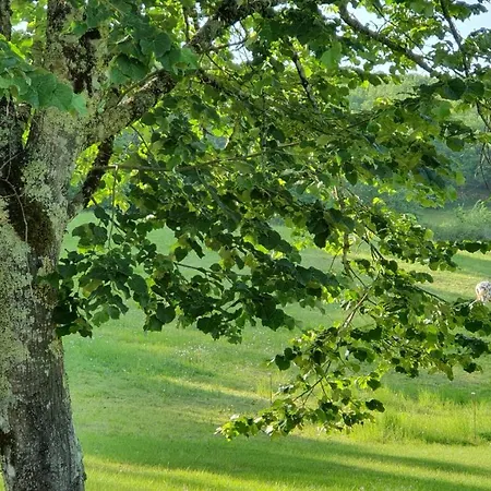 Maison d'hôtes Domaine Du Cardou