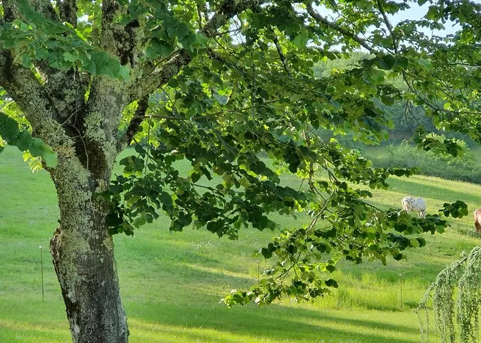 بيت ضيافة Domaine Du Cardou
